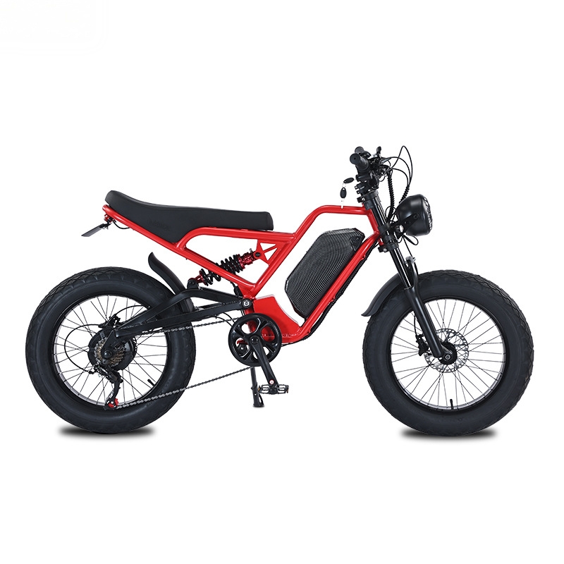 RRE QQA 13Ah lithium battery 4 - 48V 1500W Rear Hub Motor With Battery 评论和价格