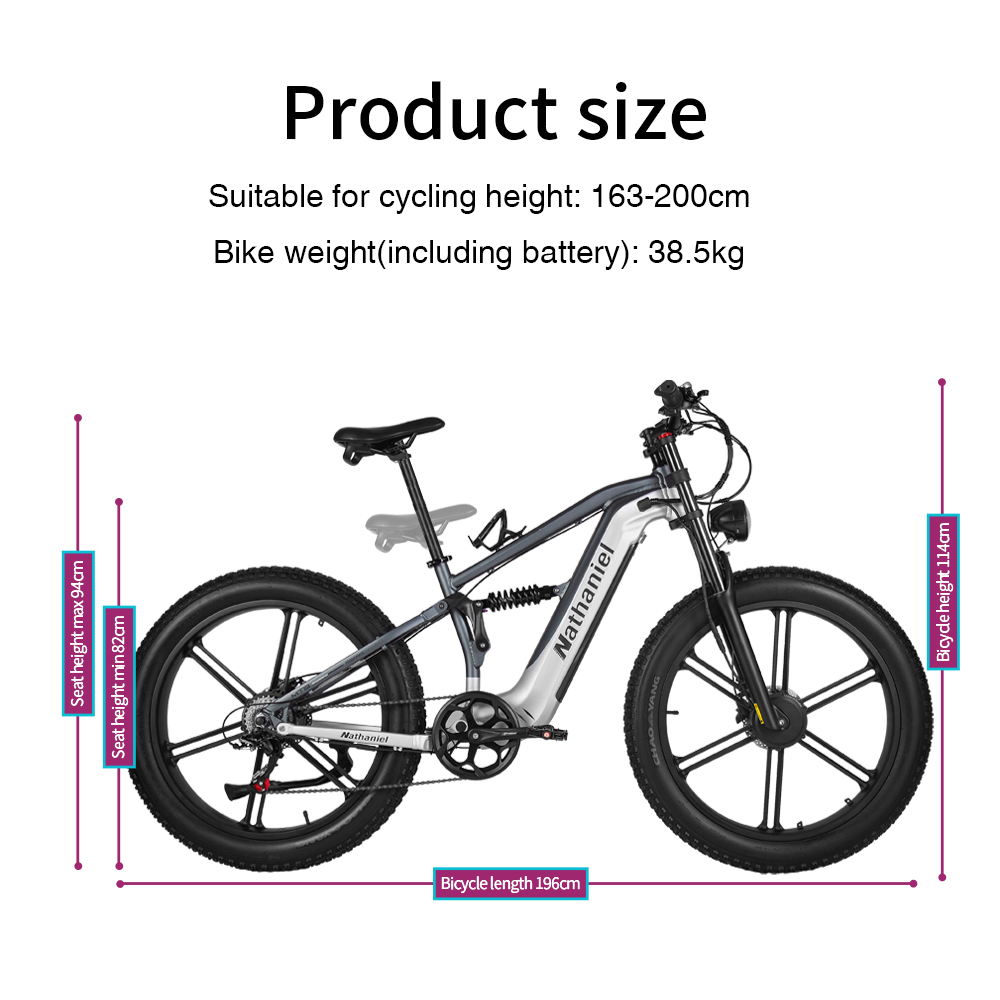 Nathaniel SYR09 Electric Bike  - Dual Motor Ebike Kit 2000W 评论和价格